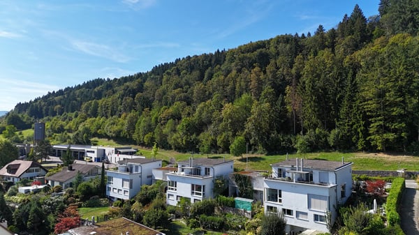 Charmantes 5.5-Zimmer-Doppeleinfamilienhaus an ruhiger Lage in Horgen 2