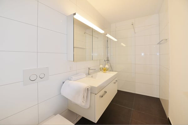 Luxuriöse 3,5 Zi-Wohnung im Herzen von Siebnen SZ 2