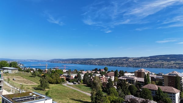 Charmantes 5.5-Zimmer-Doppeleinfamilienhaus an ruhiger Lage in Horgen 1