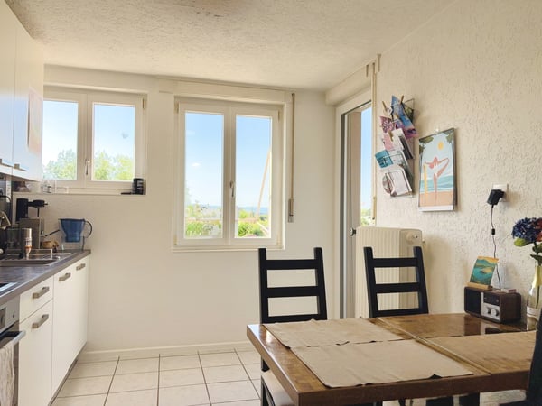 Parc Guintzet: Maison 2 appartements / Haus mit Garten in Fribourg 13