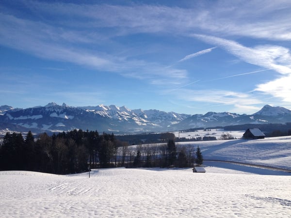 Rare à la vente – Chalet d’exception avec vue panoramique et calme absolu 3