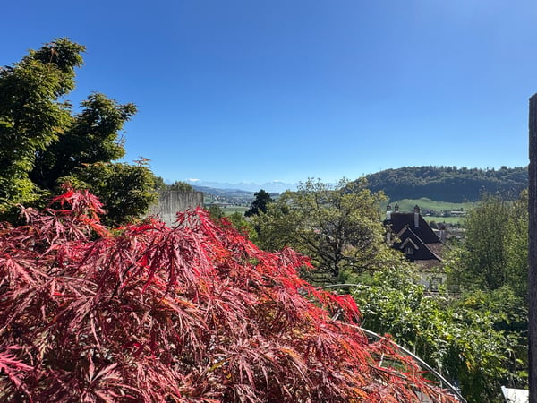 5-Zimmer-Atelier-5-Wohnung mit Bergblick und zwei Terrassen 3