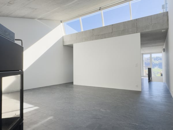 5-Zimmer-Atelier-5-Wohnung mit Bergblick und zwei Terrassen 4