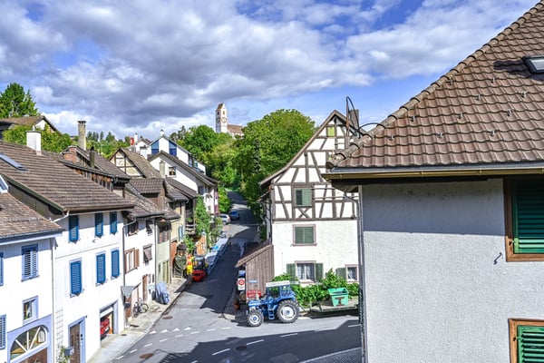 Restaurant Maienburg – Charmantes Gastgewerbe-Objekt in Hallau 16