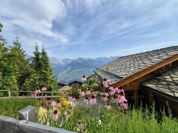 Exceptional chalet on the edge of the bisse and near ski slopes! 2