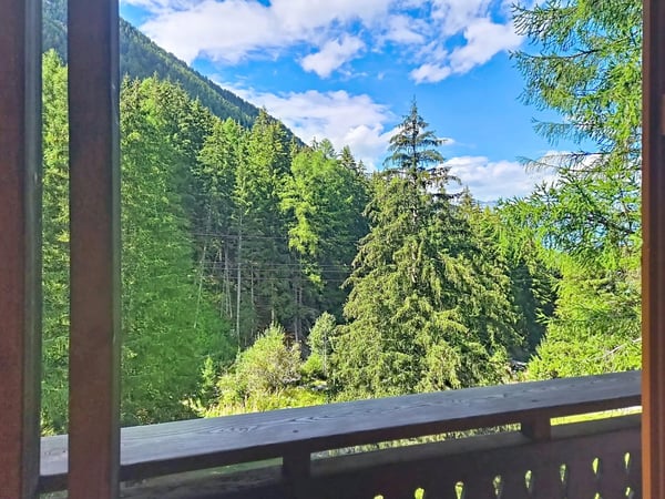 3 bedrooms apartment in Planchouet (Nendaz) in the heart of the forest! 11