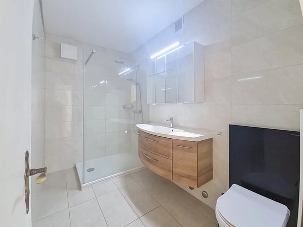 Magnificent 3.5-room apartment in Sierre, near Lake Géronde! 10