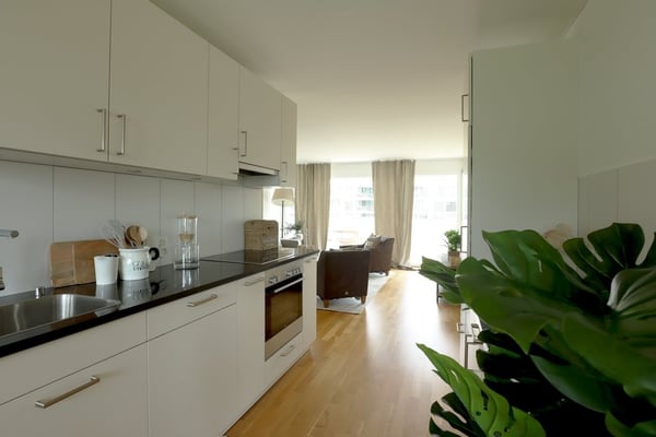 Moderne Attika-Wohnung mit eigenem Waschturm 7