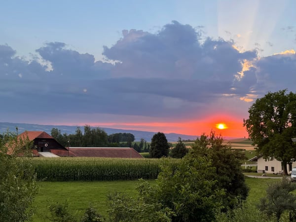 3 Spacious New-Build Row Houses for Rent in Rifferswil 13