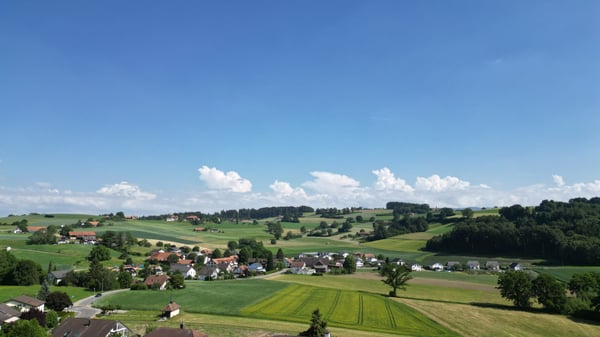 6.5-Zimmer-Villa mit grossem Grundstück in Ueberstorf kaufen 8