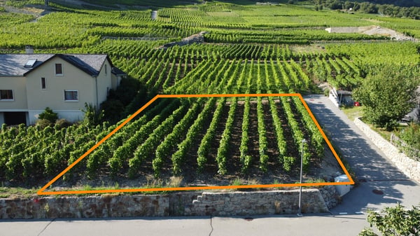 Terrain à bâtir de 532 m² sur le coteau de Fully 2