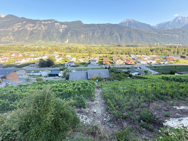 Terrain à bâtir de 988 m² sur le coteau de Branson à Fully – Opportunité rare 4