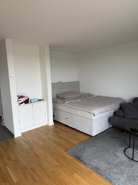 Moderne 1-Zimmer-Wohnung mit Balkon in Solothurn sofort verfügbar! 4