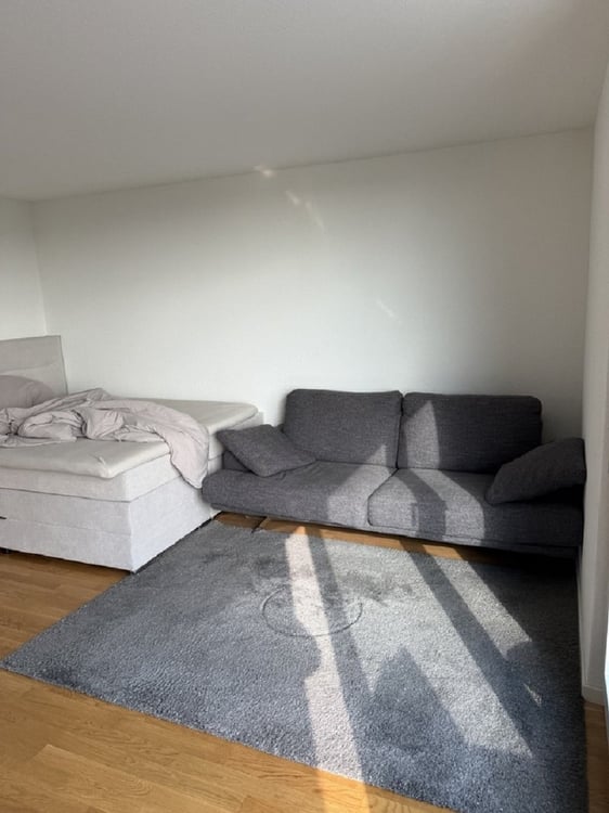 Moderne 1-Zimmer-Wohnung mit Balkon in Solothurn sofort verfügbar! 6