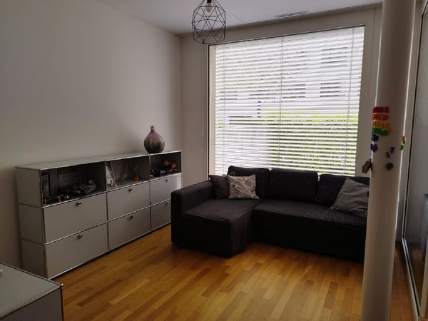 Helle 3-Zimmer-Wohnung mit Balkon in Dietikon sofort verfügbar! 5