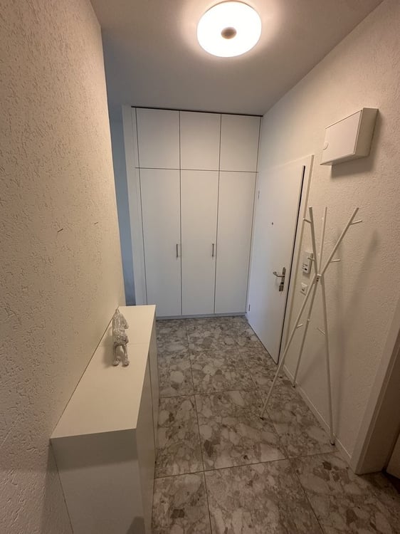 Helle 3-Zimmer-Wohnung mit Balkon in Zürich-Schwamendingen 5
