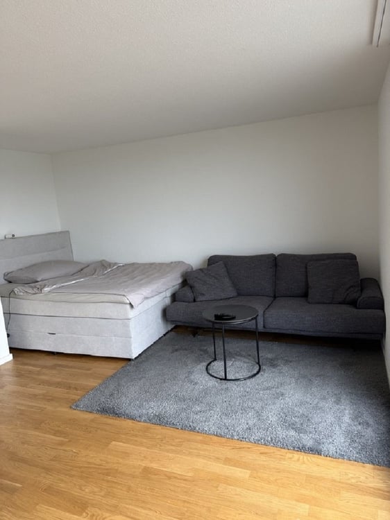 Moderne 2-Zimmer-Wohnung mit Balkon in Solothurn  sofort verfügbar! 3