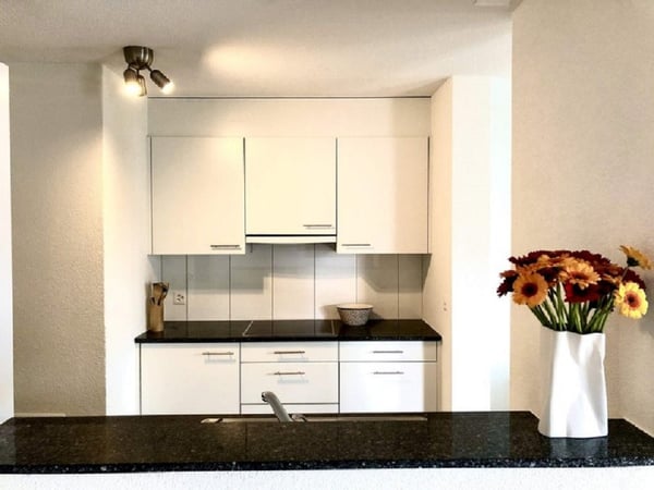 2,5 Zimmer Wohnung in Dübendorf mit balkon 3