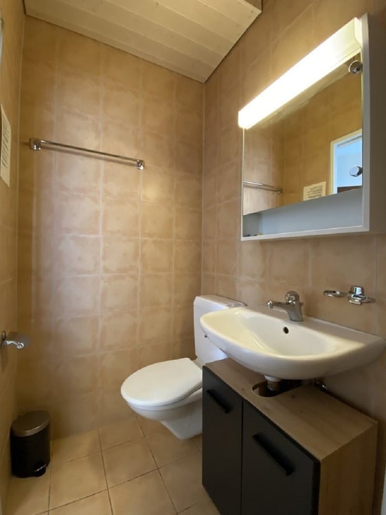 Gemütliches 1-Zimmer-Apartment mit Balkon in Emmen  sofort verfügbar! 1
