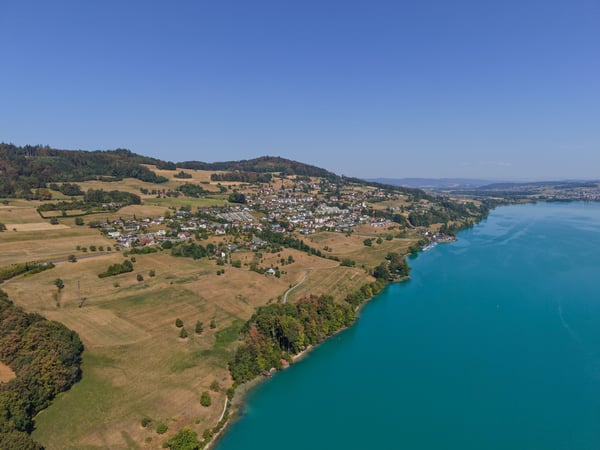 Traumhafte See- und Bergsicht, an begehrter Hanglage 6