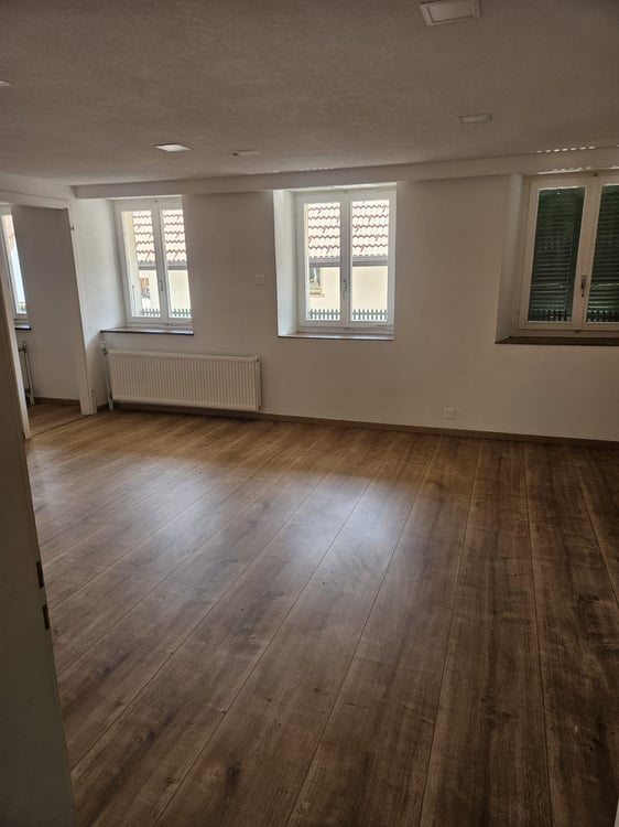 Charmante 3-Zimmer-Wohnung in Herbetswil – sofort verfügbar 7