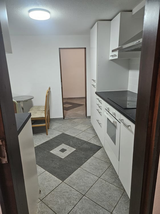 Charmante 3-Zimmer-Wohnung in Herbetswil – sofort verfügbar 8