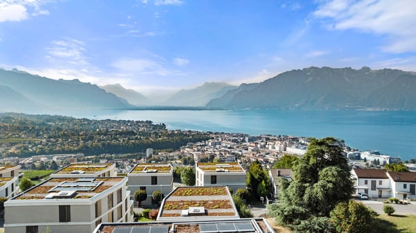 Aperçu de l'image de l'immobilier