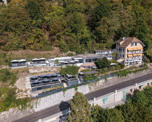 Maison de caractère avec 3 logements et vue panoramique sur le Léman 11