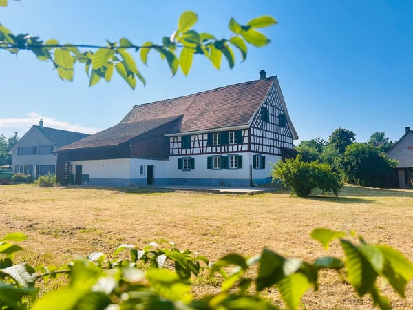 Charmantes Bauernhaus mit viel Potenzial! Pfyn TG