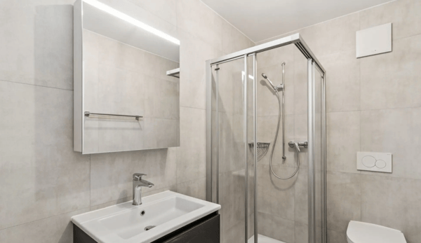 Magnifique appartement neuf de 5.5 pièces avec terrasse à St-Aubin FR 14