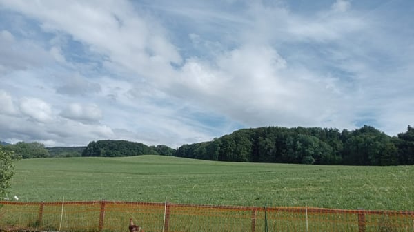 Villa mitoyenne 5.5 pièces en pignon en cours de construction livraison été 2027 3