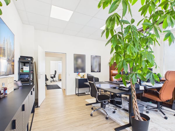 Repräsentative Bürofläche in Rheinfelden 9