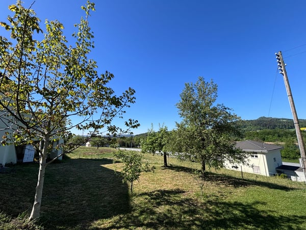 Mehrfamilienhaus mit 3 Wohneinheiten und Gewerbe - frisch saniert 9