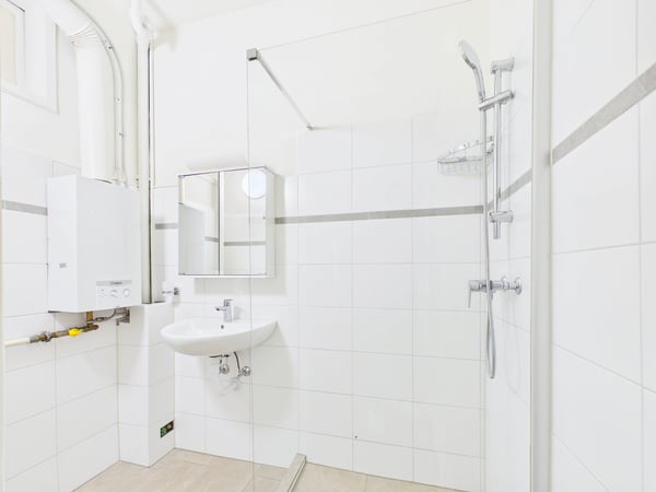 Mehrfamilienhaus mit 9 Wohnungen und 2 Gastrobetrieben in Basel kaufen - zentrale Lage 9