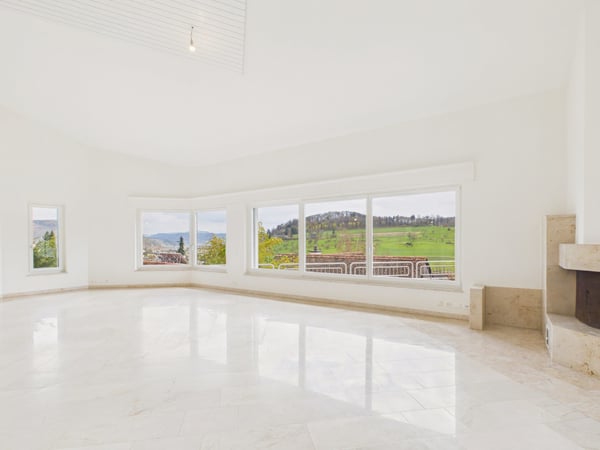 Luxuriöse Villa mit unverbaubarer Aussicht und viel Privatsphäre in Frenkendorf 4