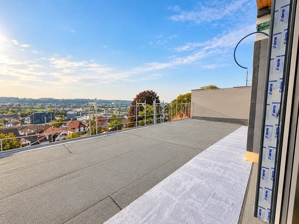 Exklusive 8-Zimmer-Doppelhaushälfte mit Dachterrasse in Münchenstein 8