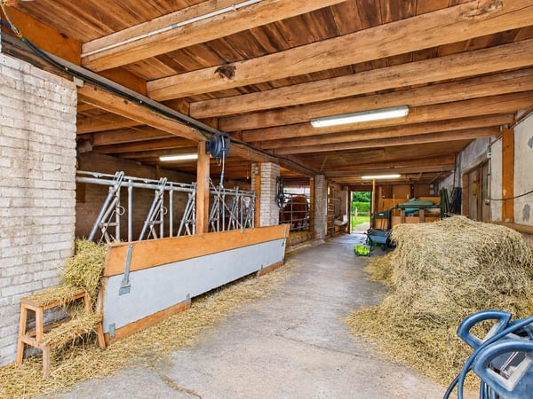 Grosszügiges 7-Zimmer-Bauernhaus mit Einliegerwohnung und vielseitigem Nutzungspotenzial 10