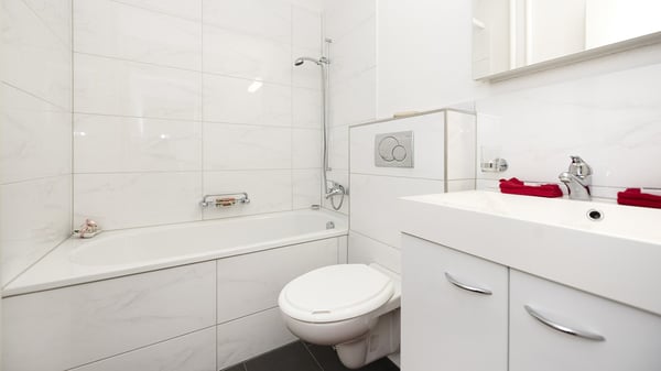 3 ZIMMER WOHNUNG IM RUHIGEN UND IDYLLISCHEN RORSCHACHERBERG 4