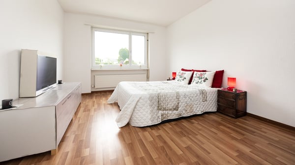 3 ZIMMER WOHNUNG IM RUHIGEN UND IDYLLISCHEN RORSCHACHERBERG 5