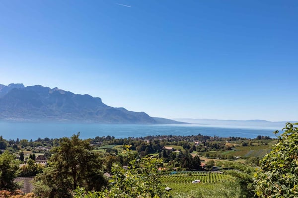 Villa familiale de plain-pied avec vue panoramique sur le Léman 1