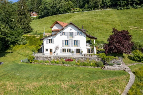 Splendide propriété individuelle à Chamby, Montreux 6