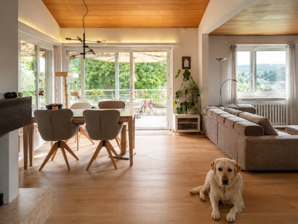 Ein Zuhause, das Raum zum Leben lässt 2