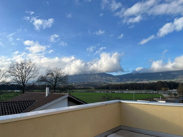 3.5-Zimmerattikawohnung mit Terrasse in Deitingen 8