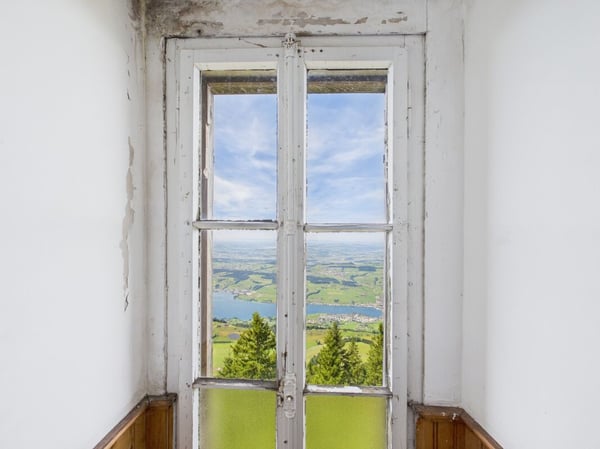 A Swiss Trophy Asset – the Last Free Piece of Mount Rigi 23
