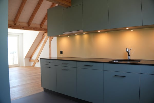 Aussergewöhnliche 3½-Zimmer-Dachwohnung mit Holzbalken und Panoramablick 3