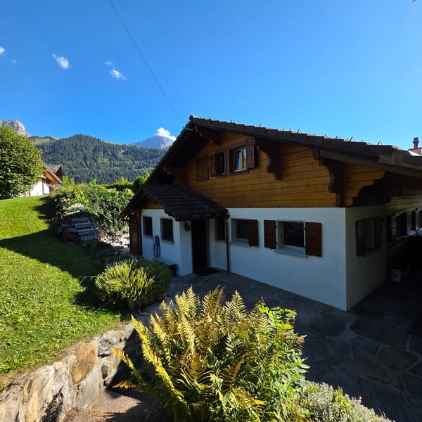 Magnifique Chalet totalement rénové à Barboleusaz / Villars-sur-Ollon-Gryon 4