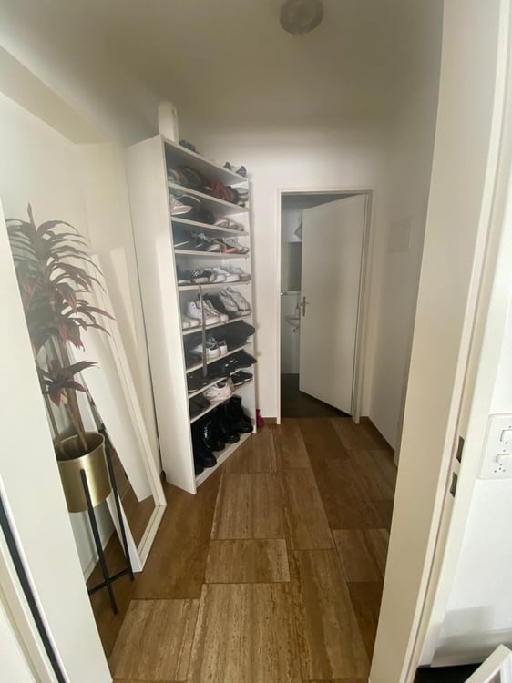 Wohnen mit viel Platz und Komfort in Riehen 11
