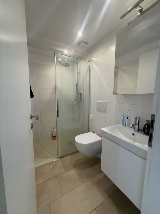 Moderno 3.5 locali ad Arbedo 6