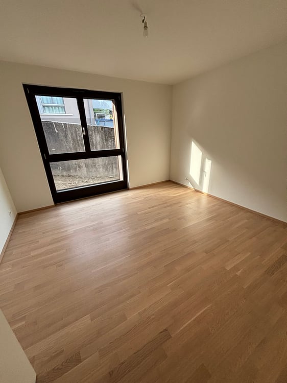 Appartement neuf de 5 pièces avec vue à Russin 3