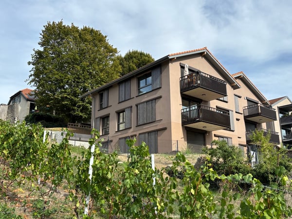 Appartement neuf de 5 pièces avec vue à Russin 6